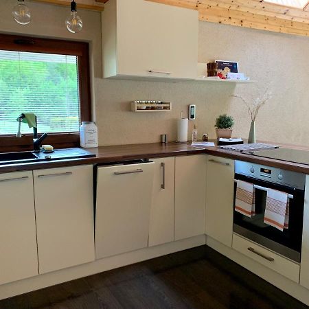 Grand Spa Holiday Home Sklené Teplice المظهر الخارجي الصورة