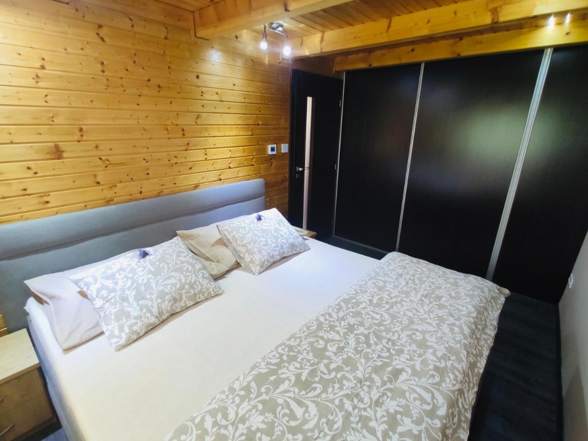 Grand Spa Holiday Home Sklené Teplice المظهر الخارجي الصورة
