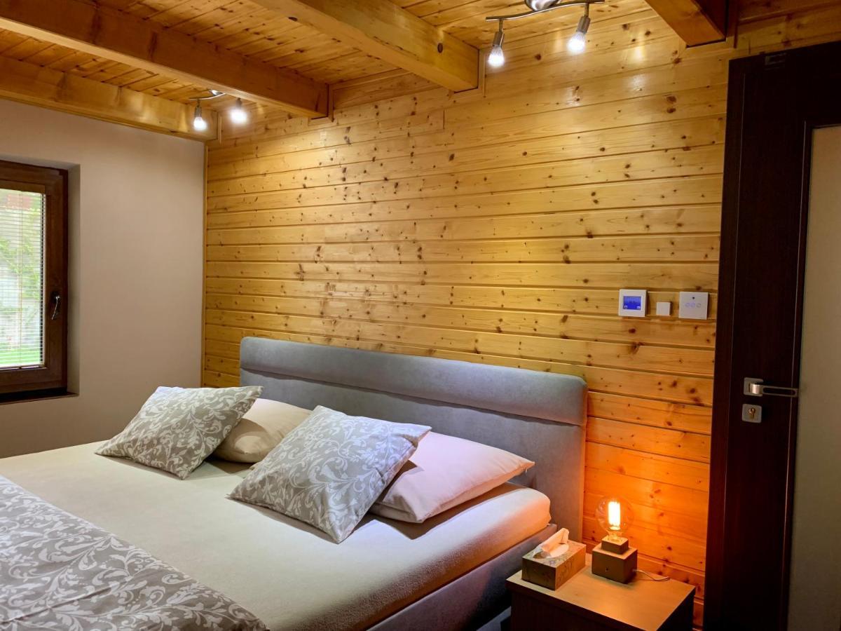 Grand Spa Holiday Home Sklené Teplice المظهر الخارجي الصورة