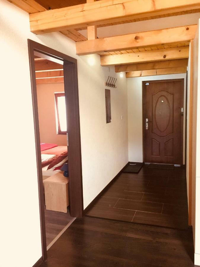 Grand Spa Holiday Home Sklené Teplice المظهر الخارجي الصورة
