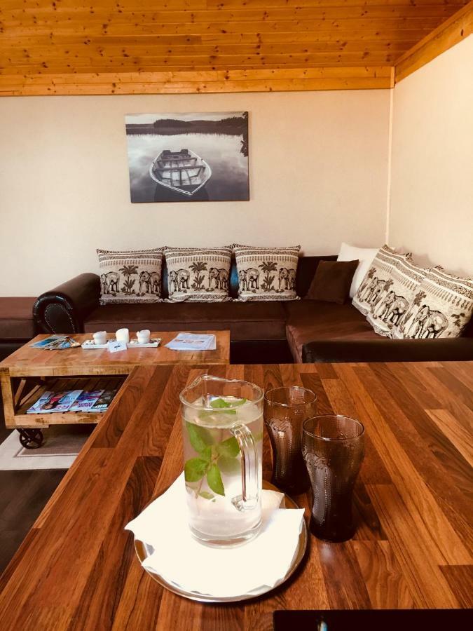 Grand Spa Holiday Home Sklené Teplice المظهر الخارجي الصورة
