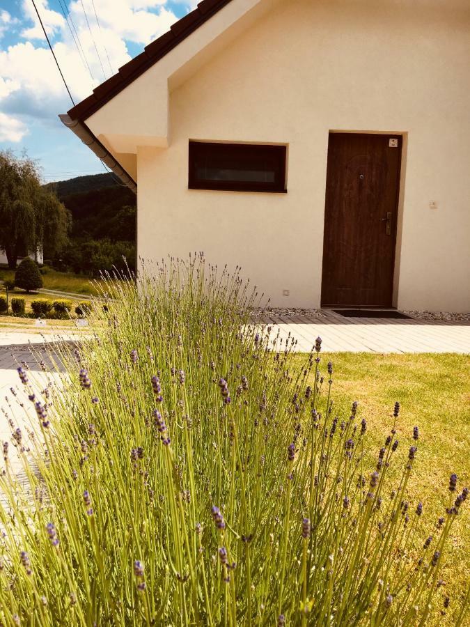 Grand Spa Holiday Home Sklené Teplice المظهر الخارجي الصورة