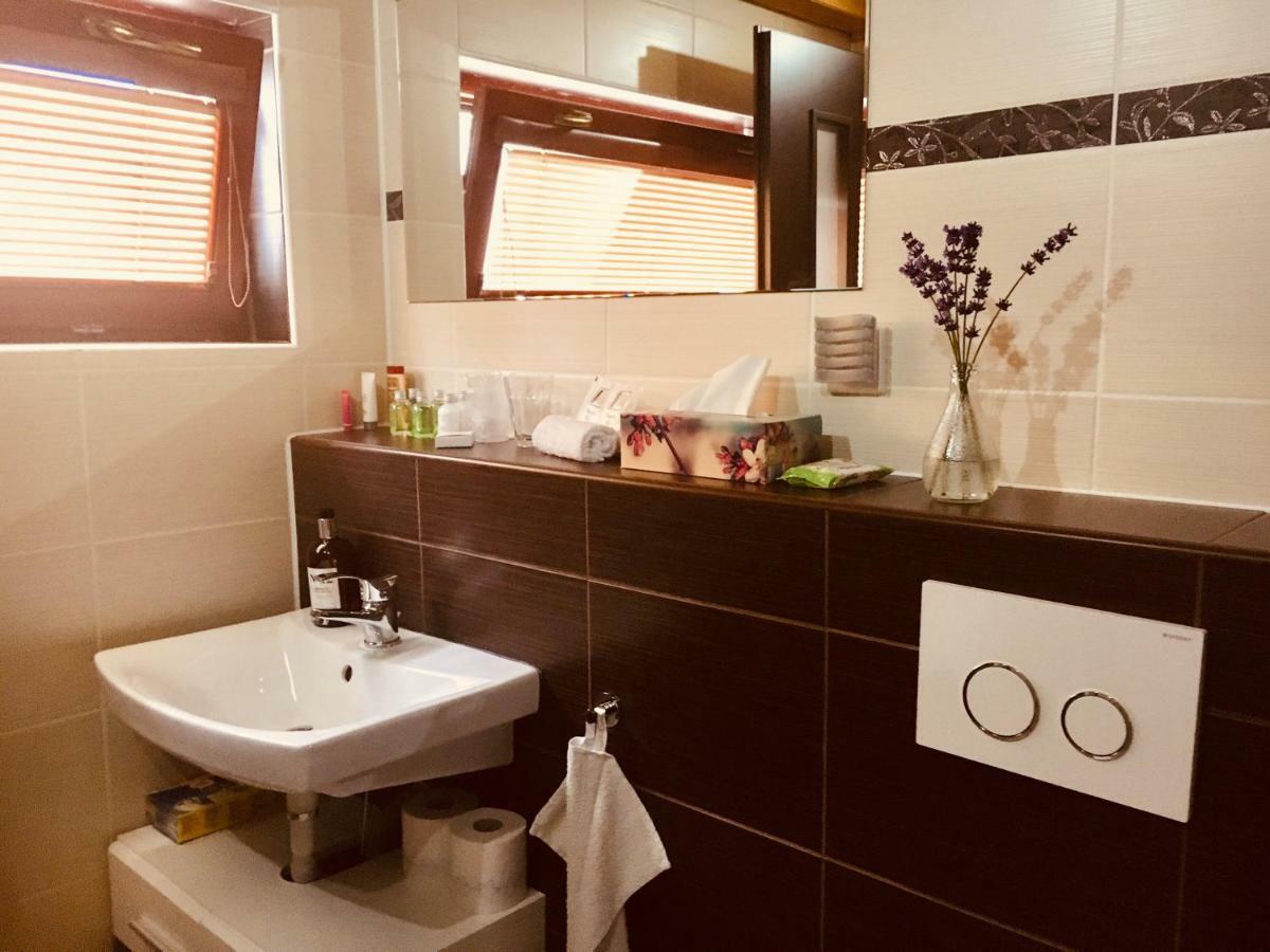Grand Spa Holiday Home Sklené Teplice المظهر الخارجي الصورة