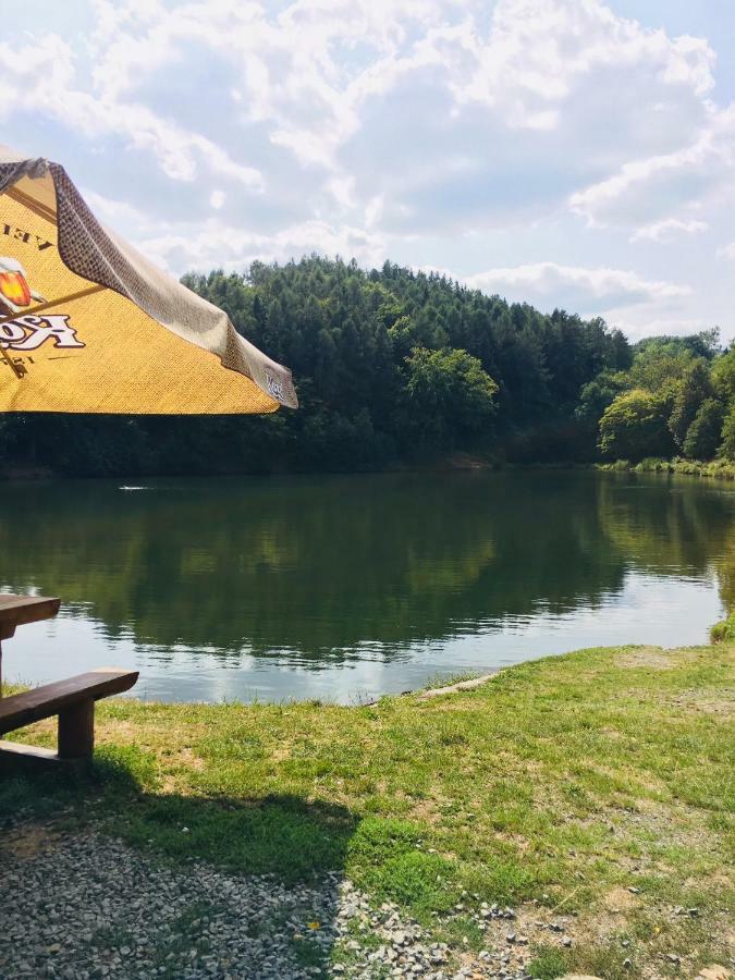 Grand Spa Holiday Home Sklené Teplice المظهر الخارجي الصورة