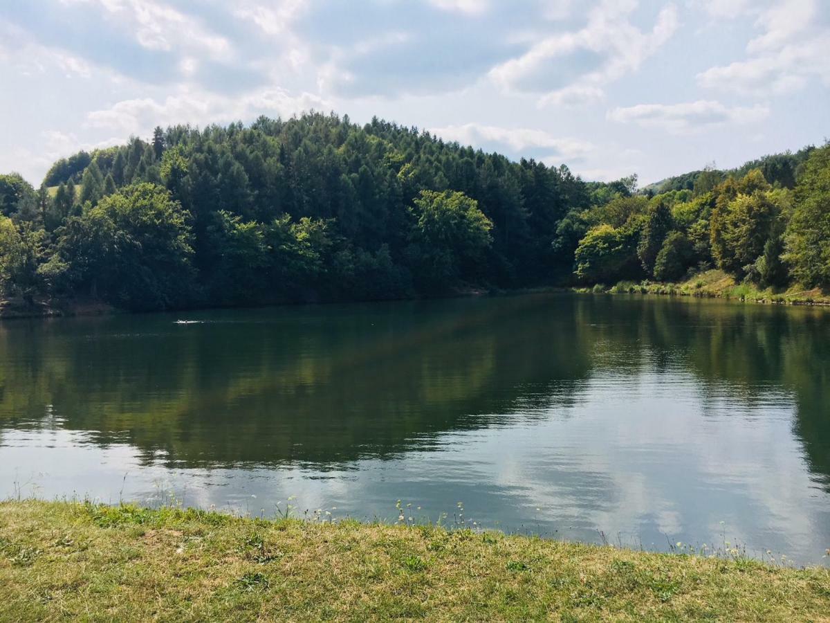 Grand Spa Holiday Home Sklené Teplice المظهر الخارجي الصورة